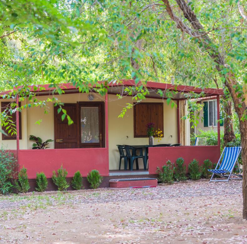 Bungalow immerso nella natura, con veranda, sedie a sdraio e vegetazione rigogliosa.
