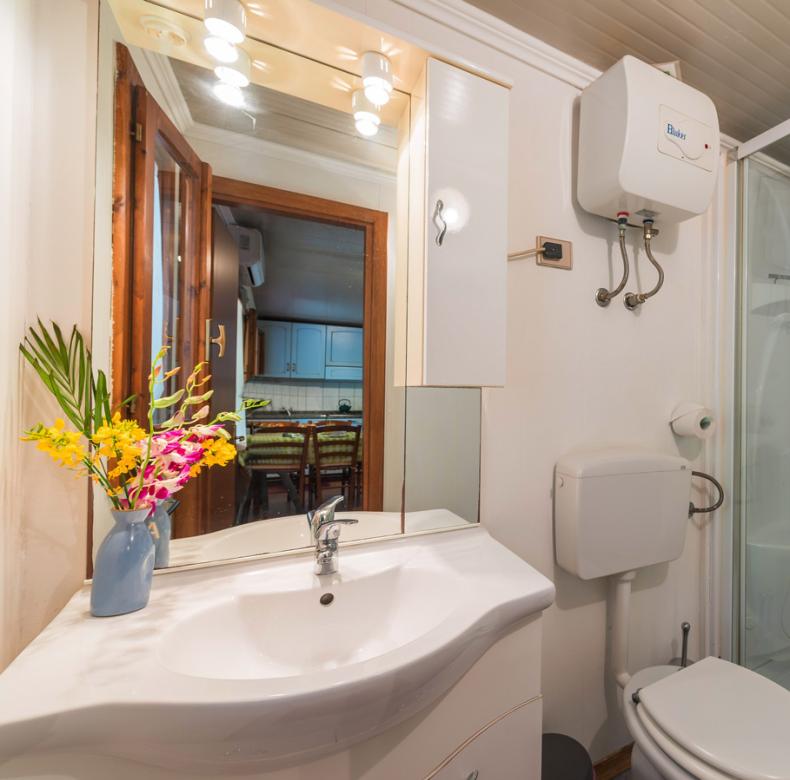 Bagno con doccia, lavabo, specchio, scaldabagno e fiori in vaso.